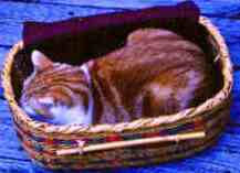 Small basket with blanket